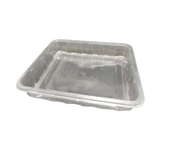 15 units of dates tray - cross  |  SN:1350