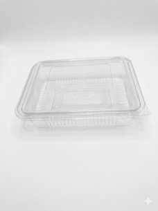 rectangular box with attached lid    |  SN: Norit60