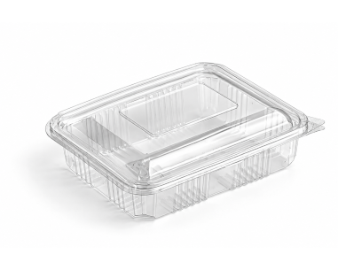 rectangular box with attached lid    |  SN: Sarit60