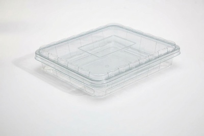 15 units of dates open  tray  |  SN:1352
